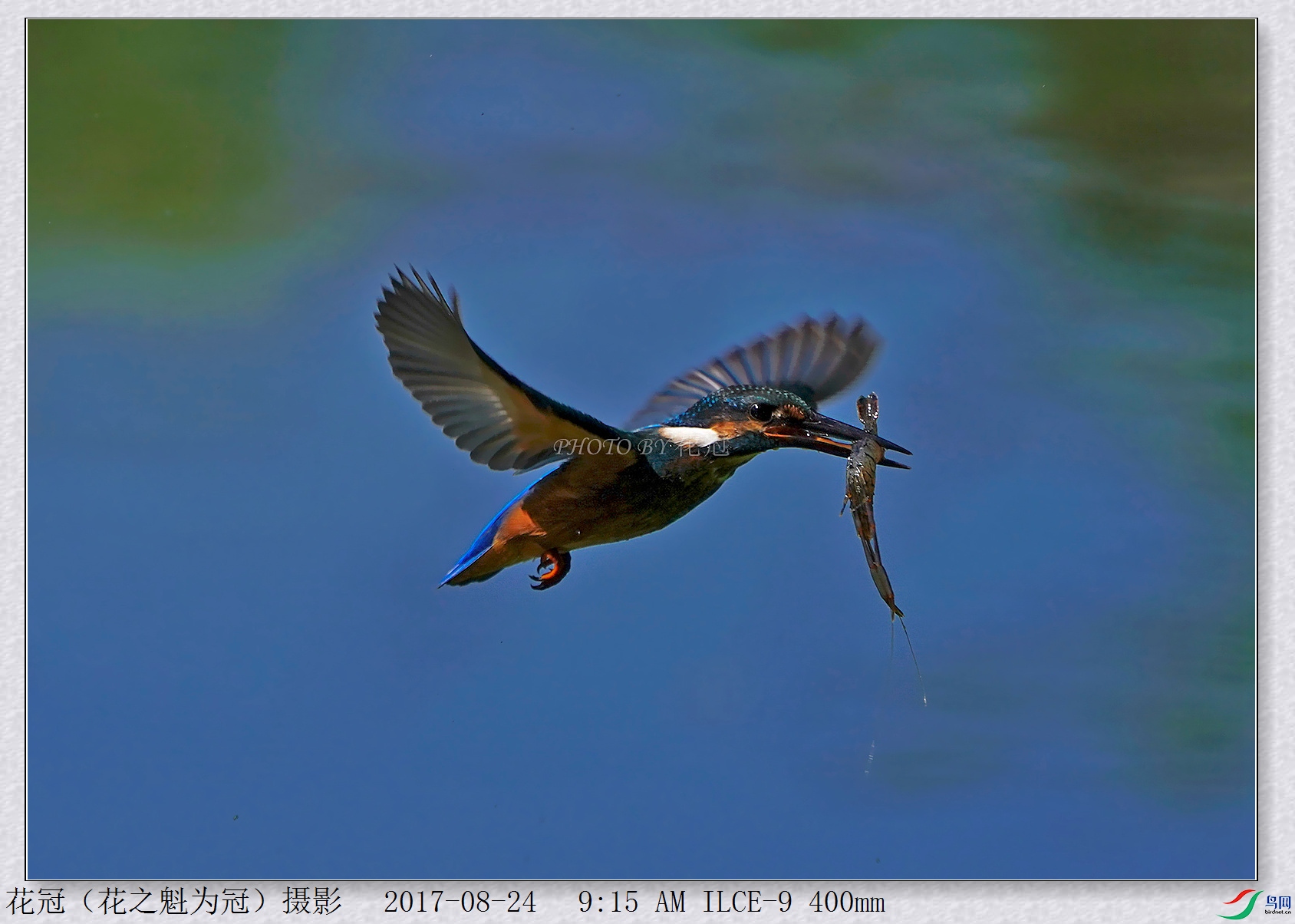 DSC00206B-2_����_����_����.jpg