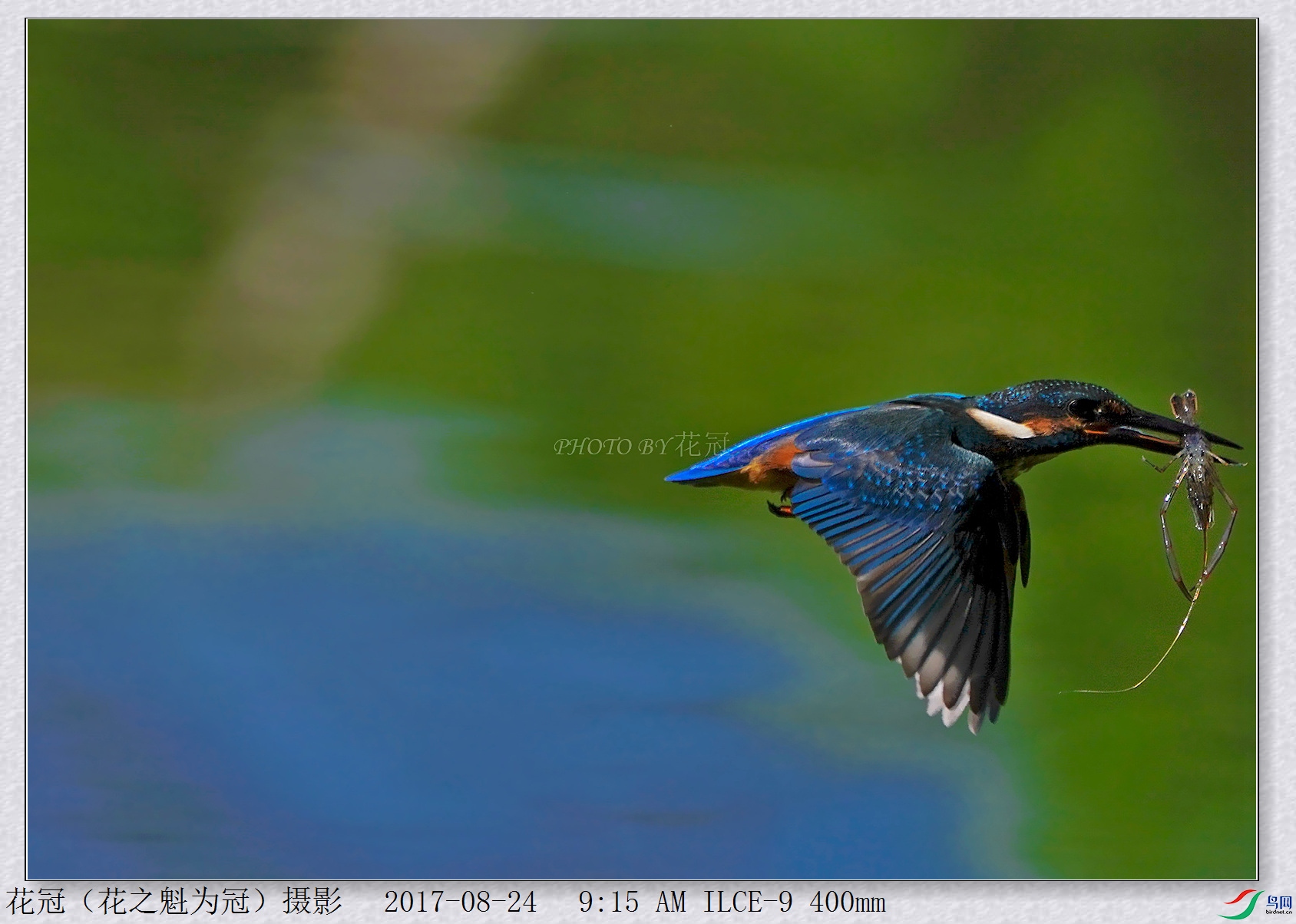 DSC00211B-2_����_����_����.jpg