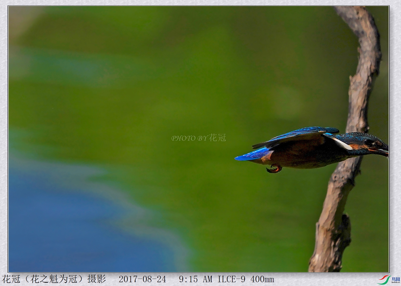 DSC00212B-2_����_����_����.jpg