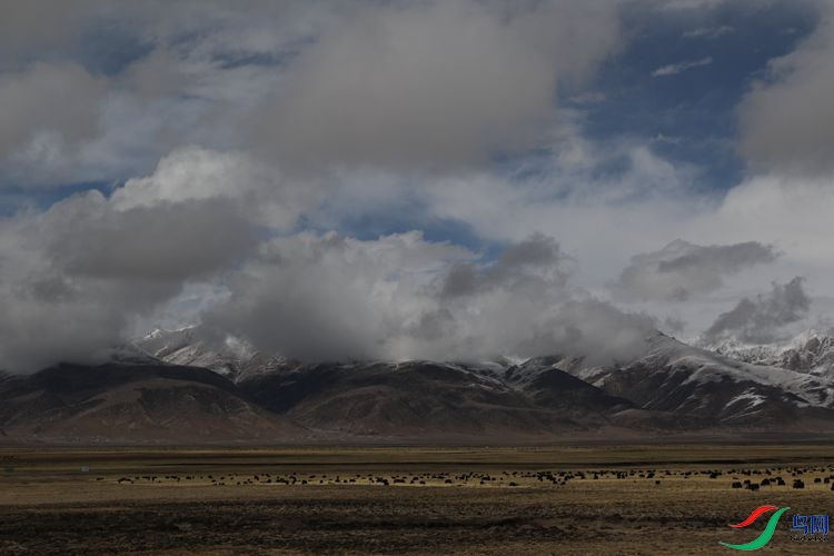 0S2A2141.JPG