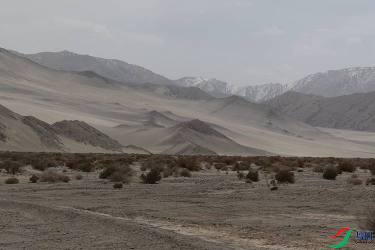 0S2A2217.JPG