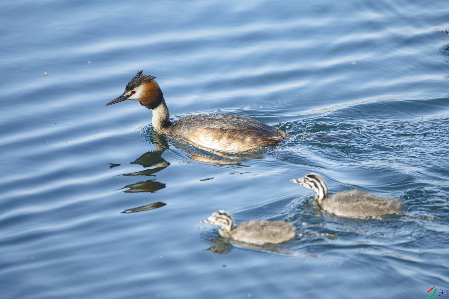 DSC_0757-1.jpg