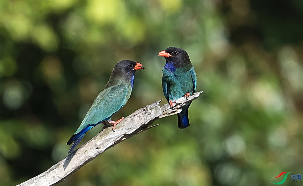 DSC_1470.jpg