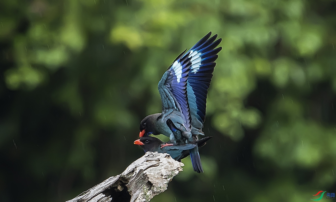 DSC_2459.jpg