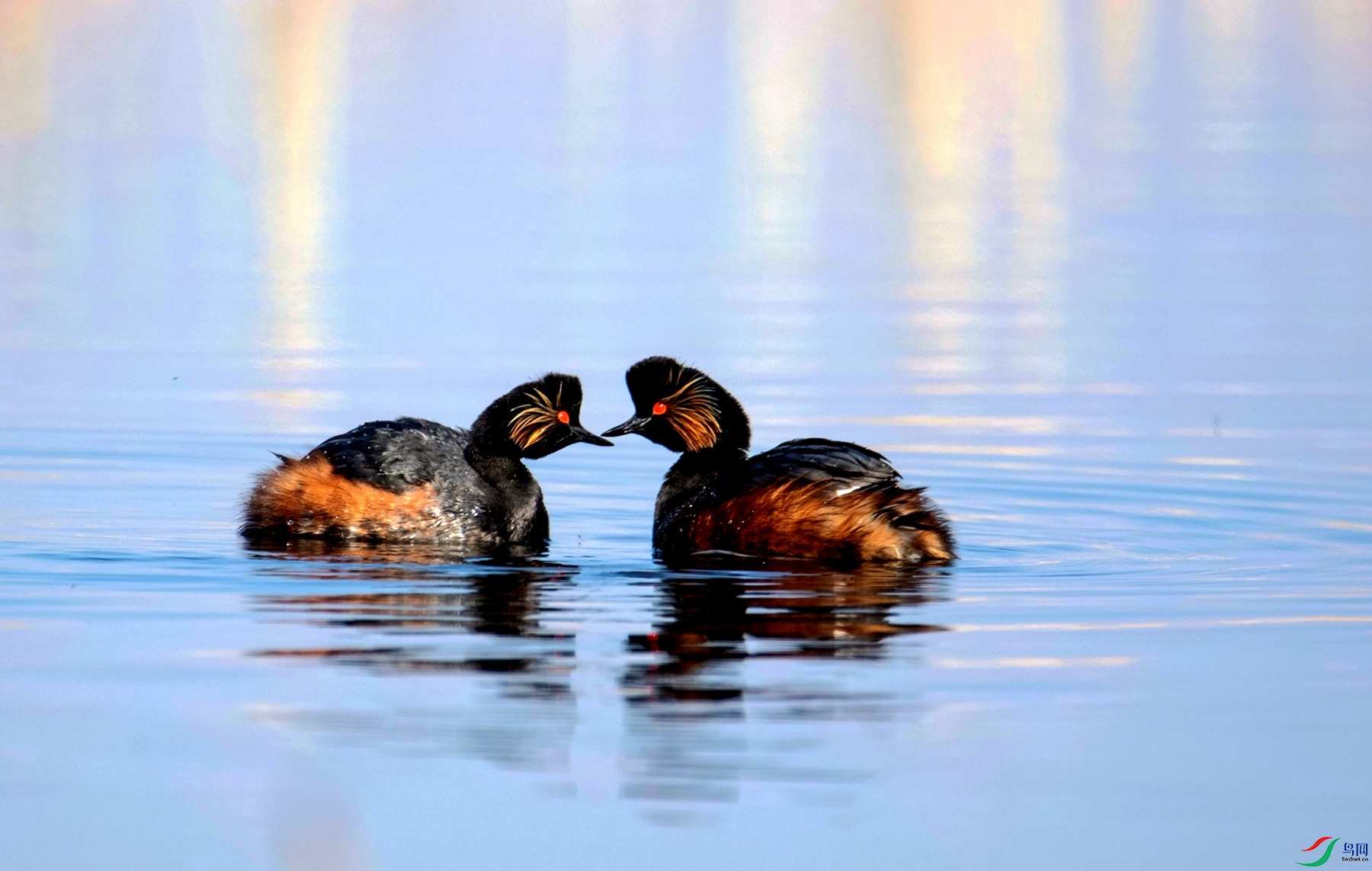 ��ɺ�֮��  (1).jpg