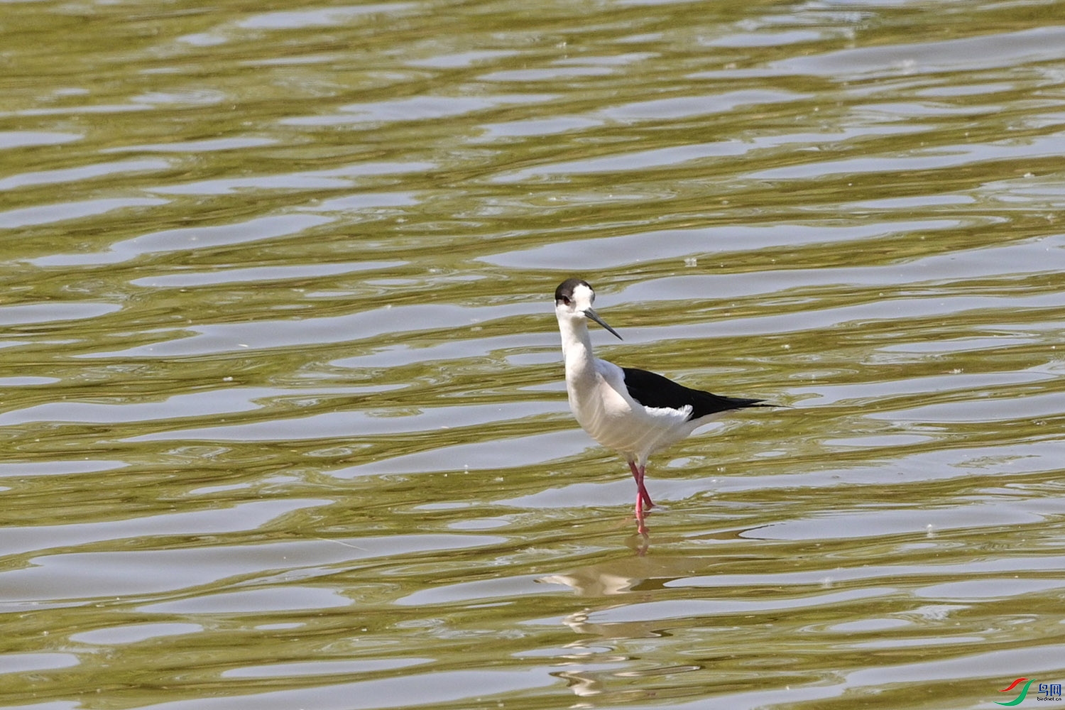 DSC_9097.jpg