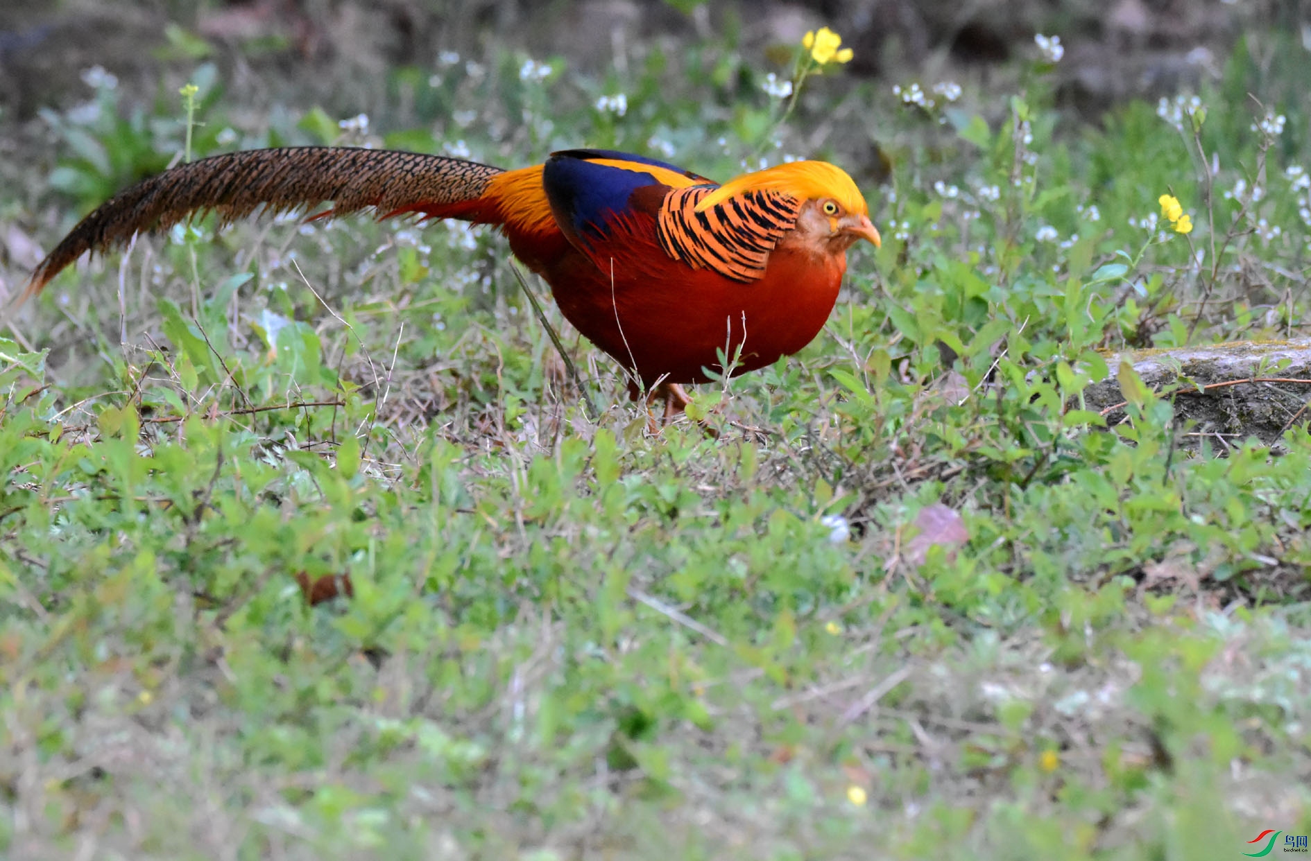 DSC_8673.JPG