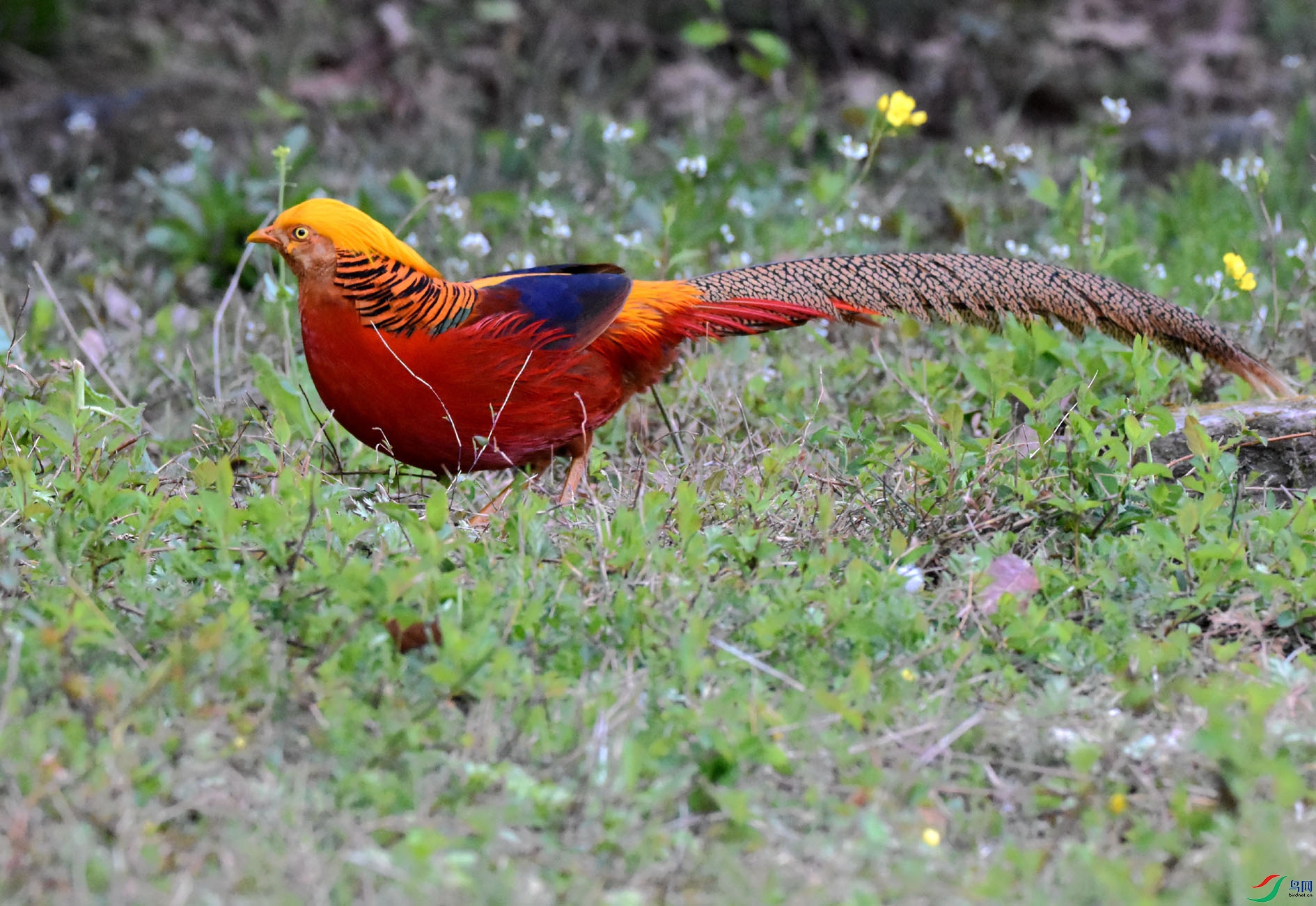 DSC_8738.JPG