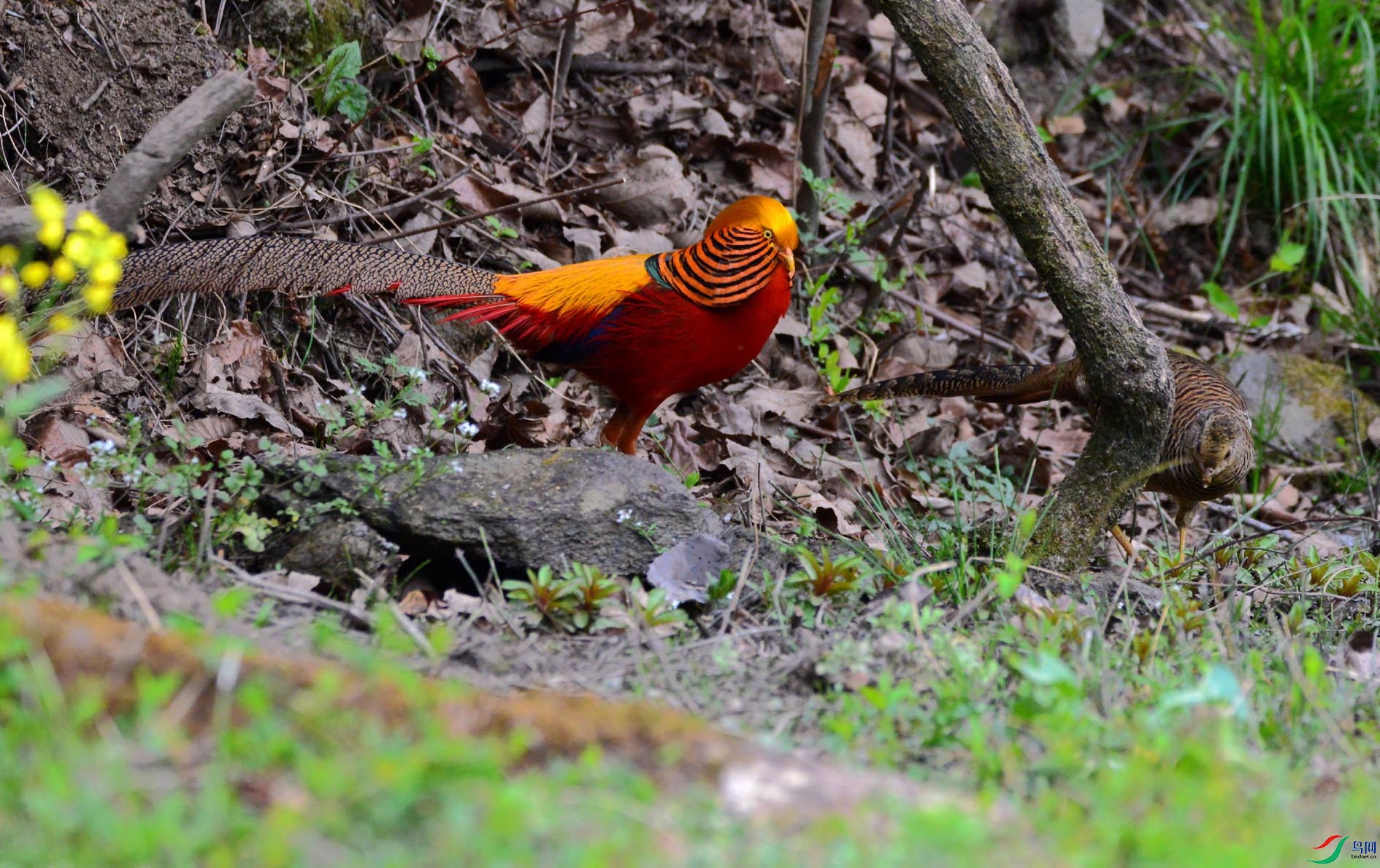 DSC_5156.JPG