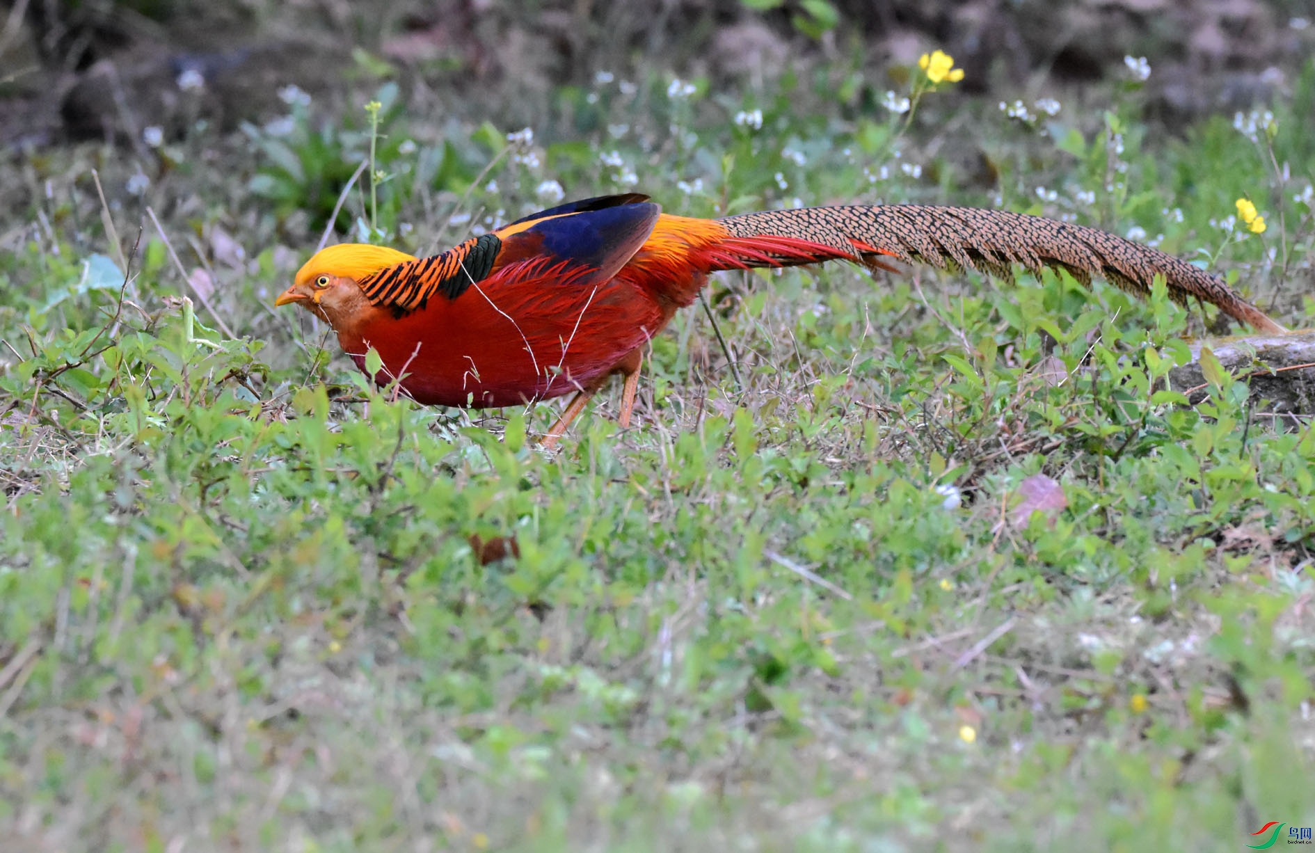 DSC_8758.JPG
