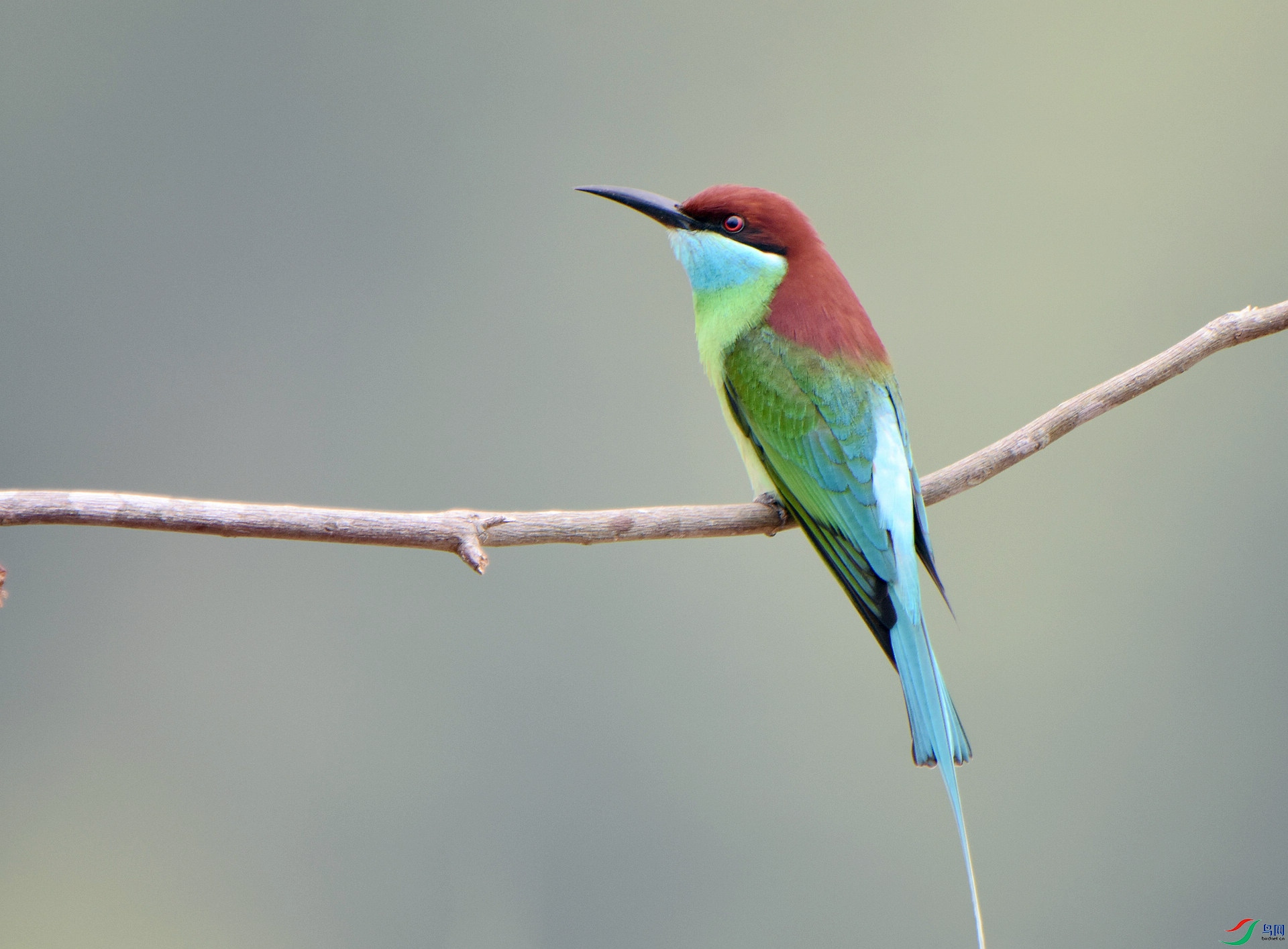 D72_4296.jpg