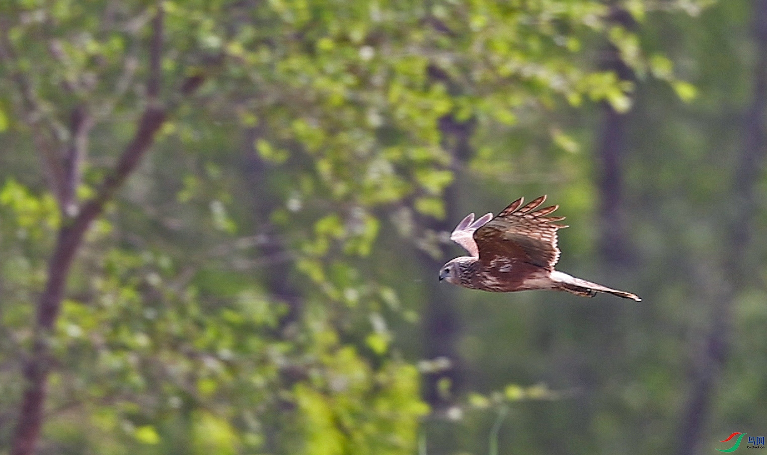 ���� 02.00_00_09_15.Still001.jpg