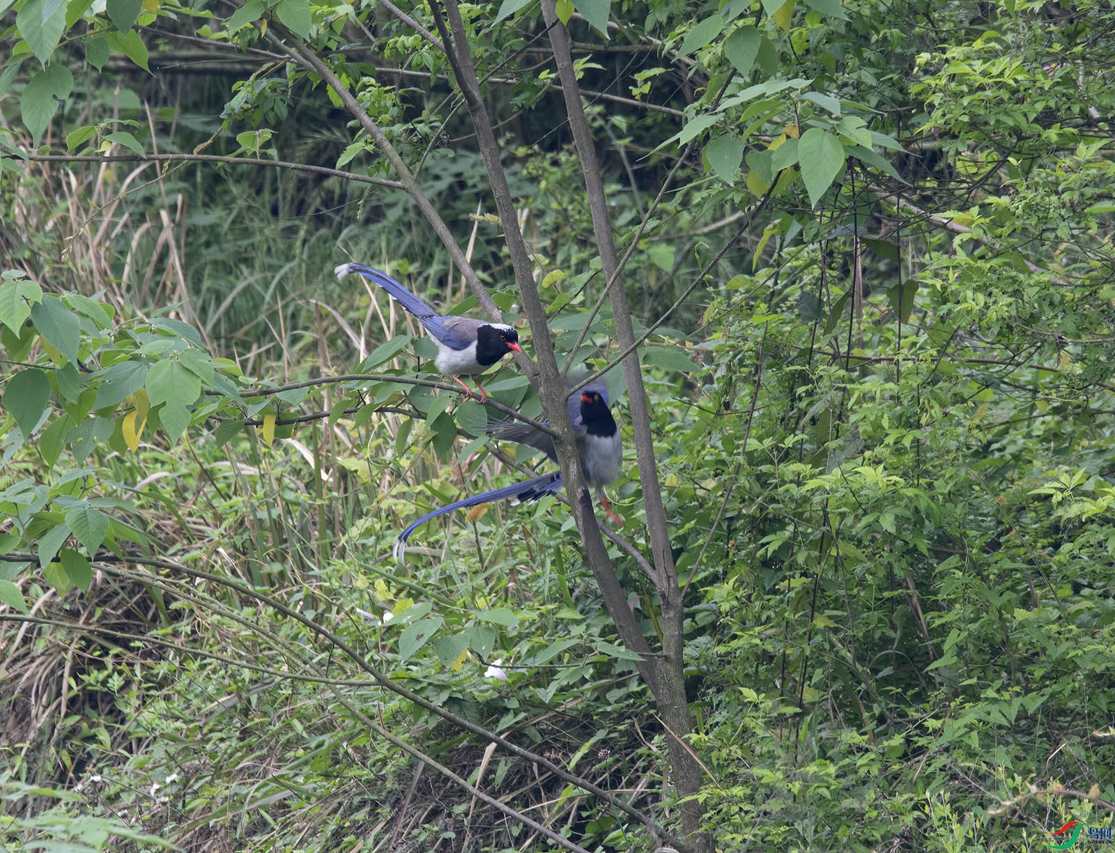 DSC_0069.jpg