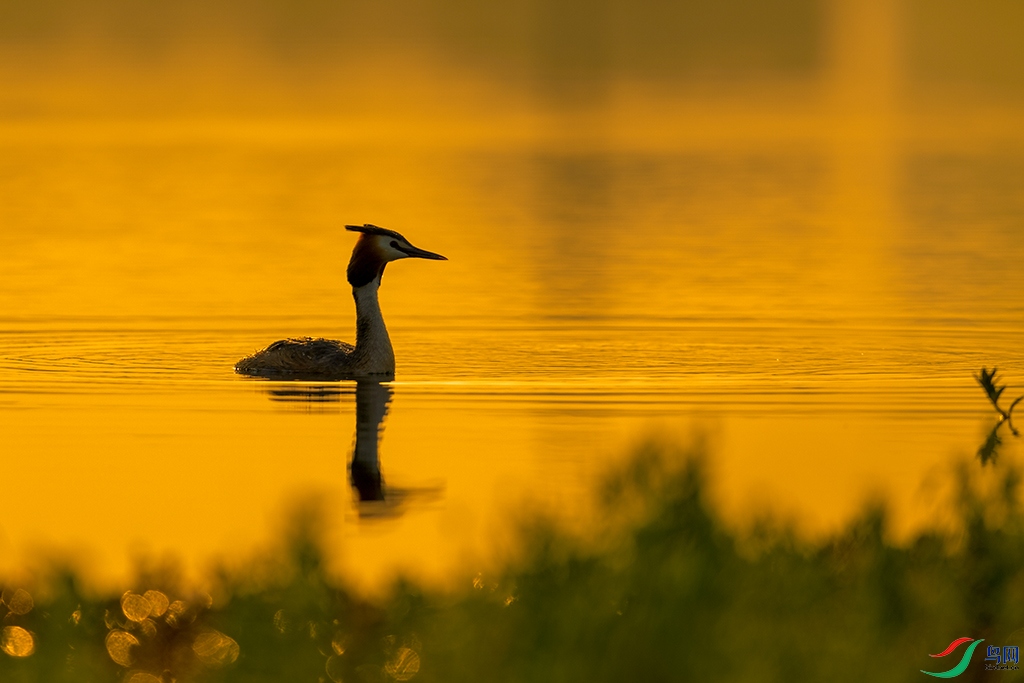 DSC_5304_DxOa.jpg