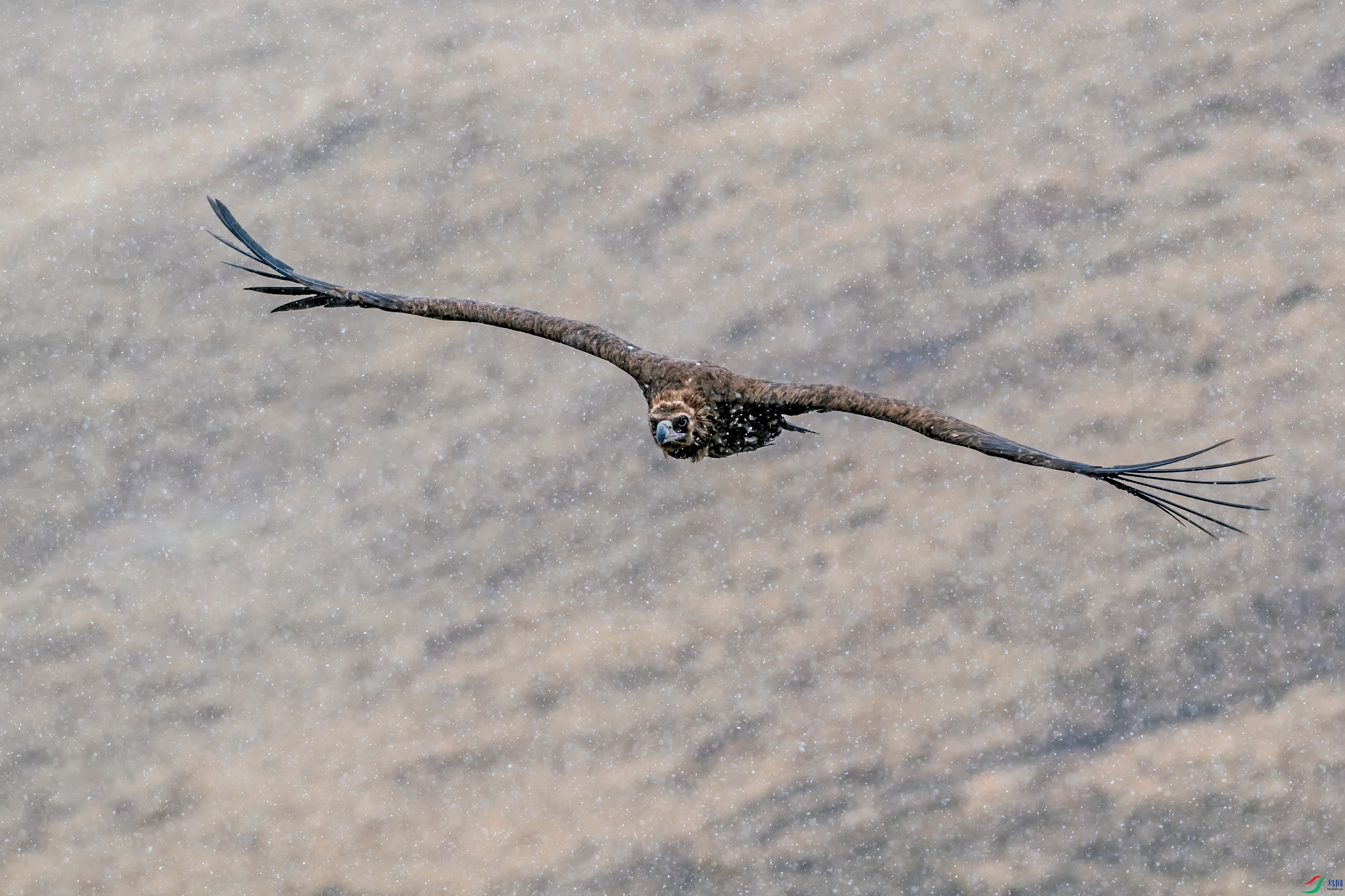 DSC_0780_��ͼ��.jpg