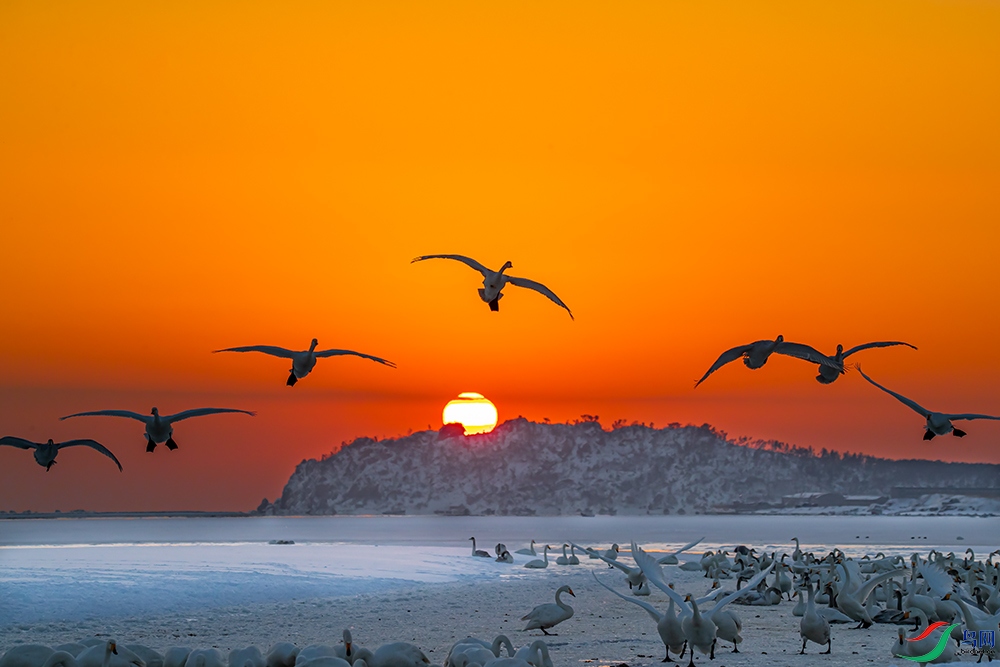 ΢��ͼƬ_2.jpg