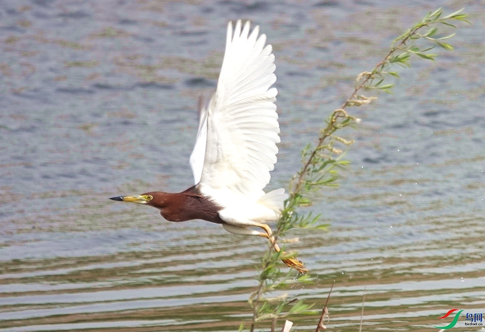 DSC05385_WPSͼƬ_wpsͼƬ.jpg