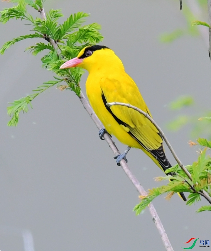 DSC_8195.JPG