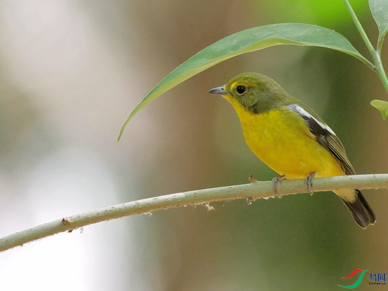 P6570987 - ����.JPG