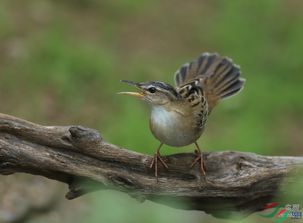 �����  ��ʦ������ɽ��ʡΫ���в�����.jpg