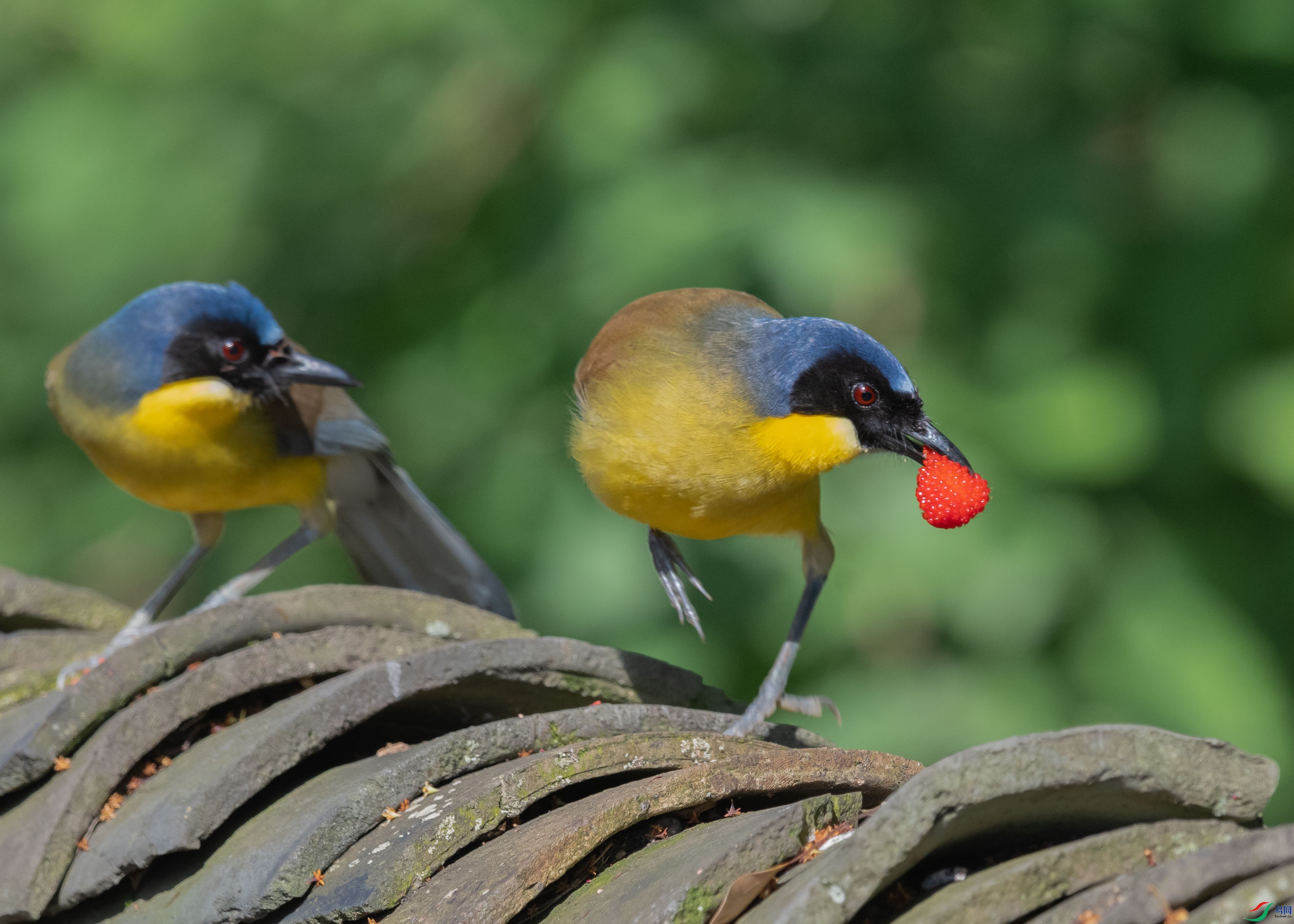 DSC_7455.jpg