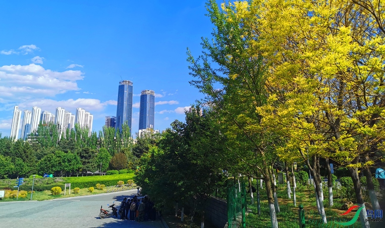 瀋陽市皇姑區克儉公園初夏