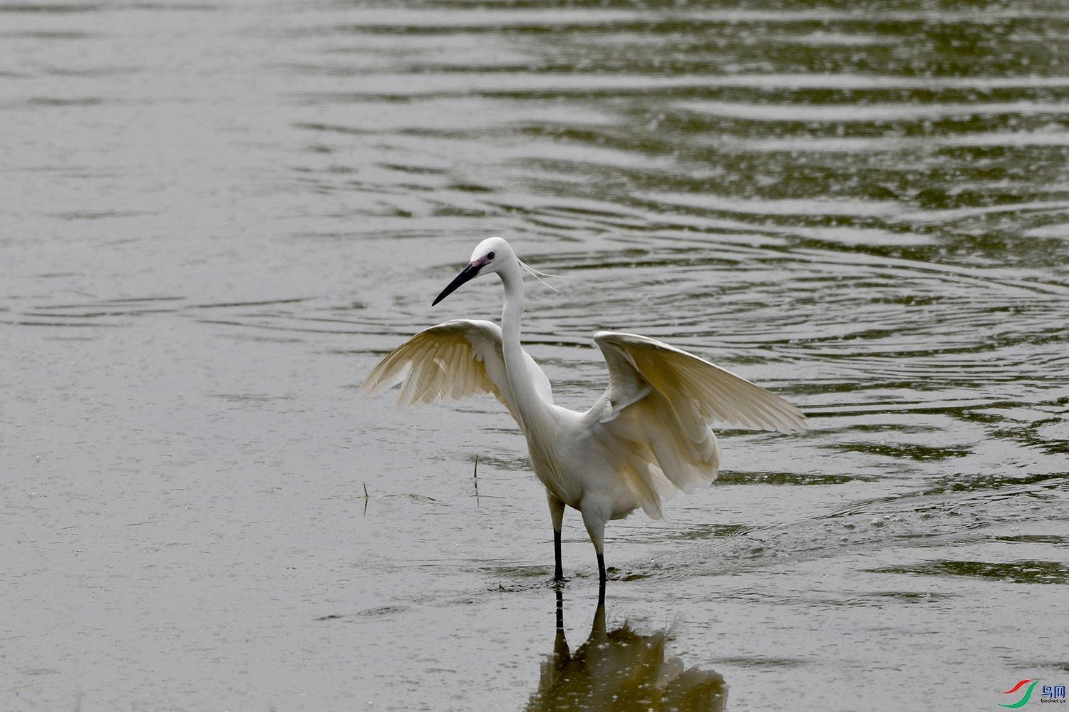 DSC_4742.jpg