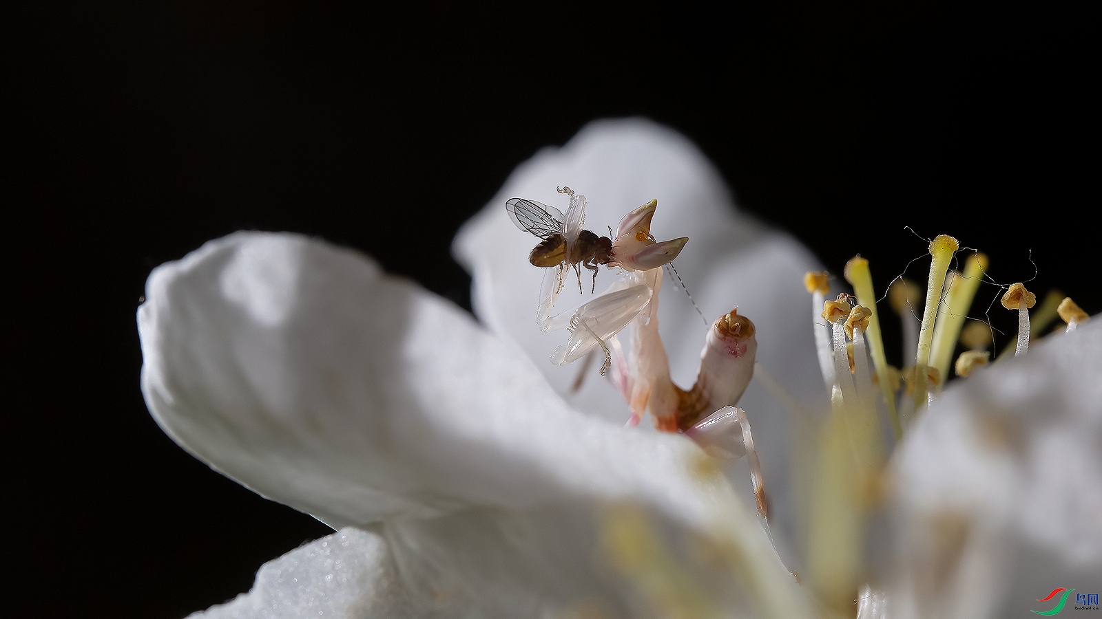 _V7A0325.jpg