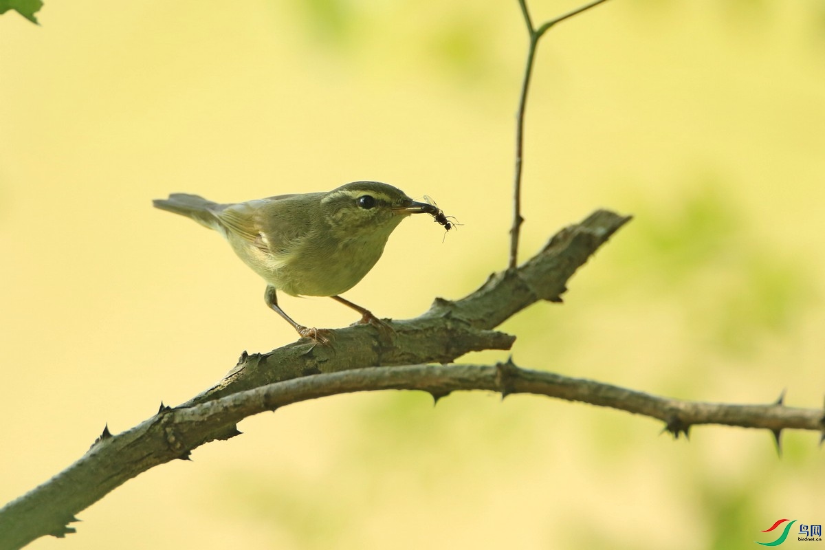 ��ݺ 1  0F4A5792.jpg