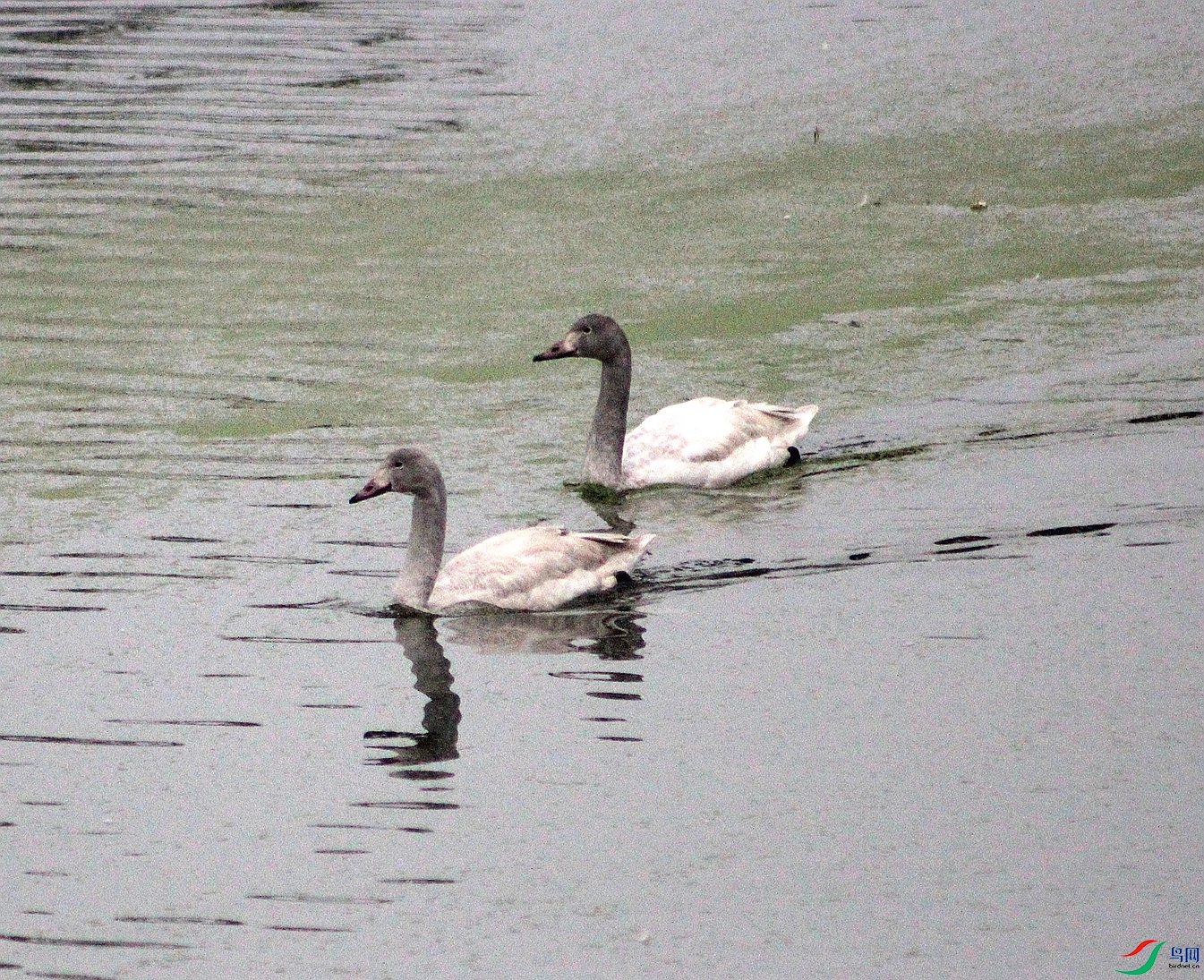 IMG_035.JPG