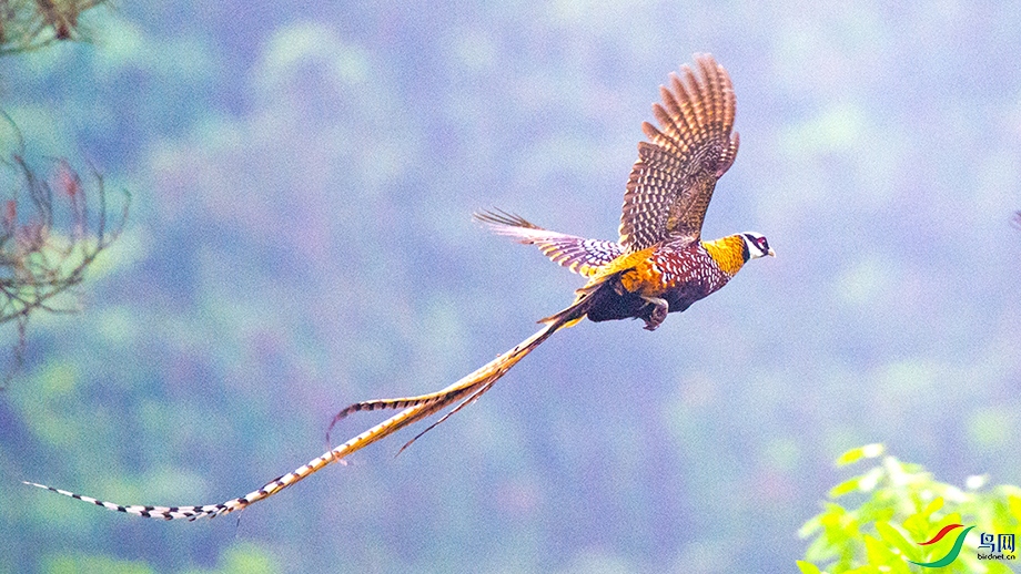 ��DSC_7289.jpg