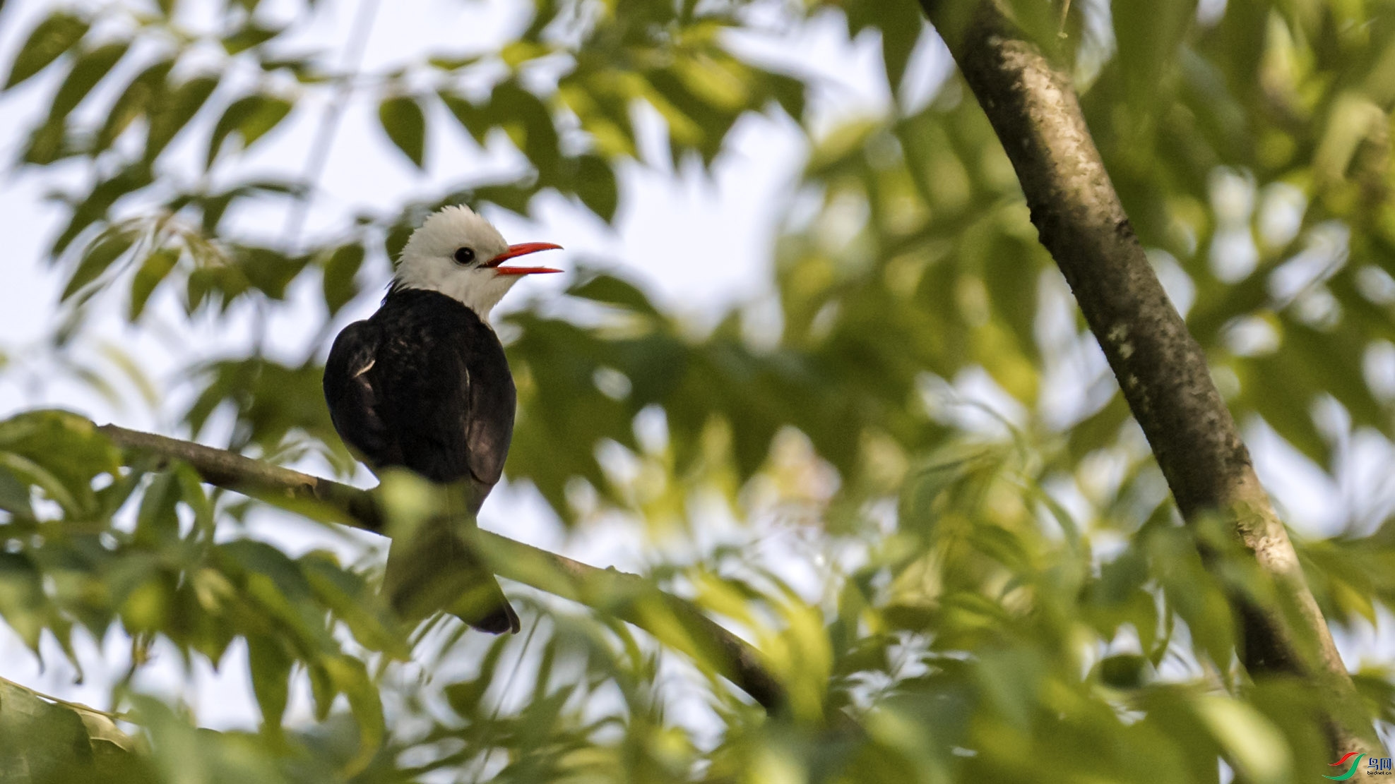 DSC_5157a.jpg