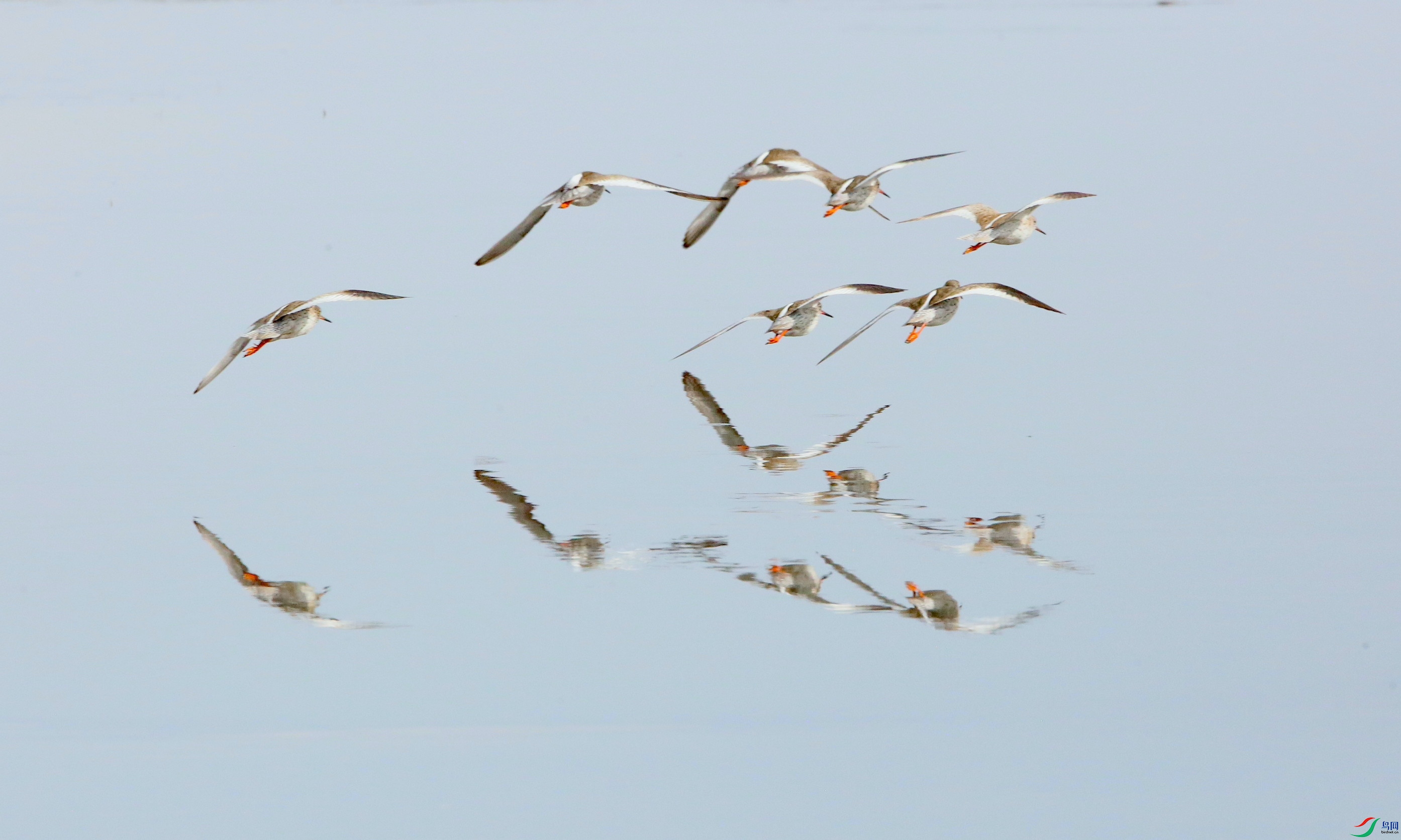 ����ֺ������