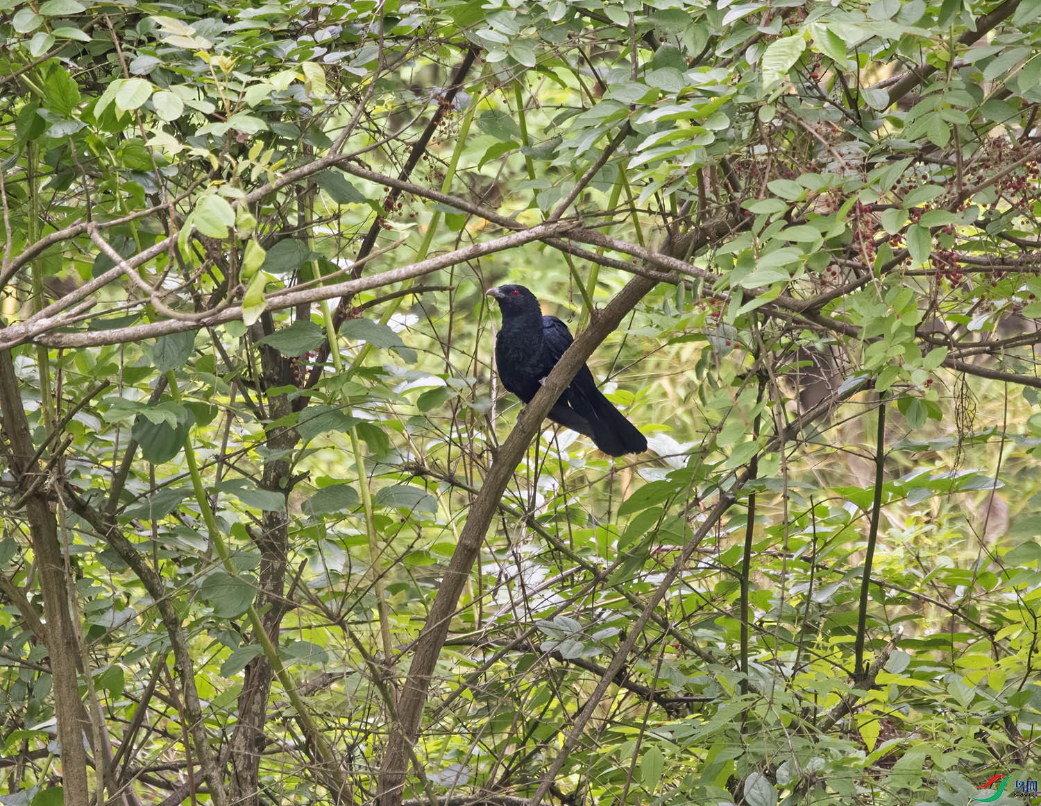 DSC_0620.jpg