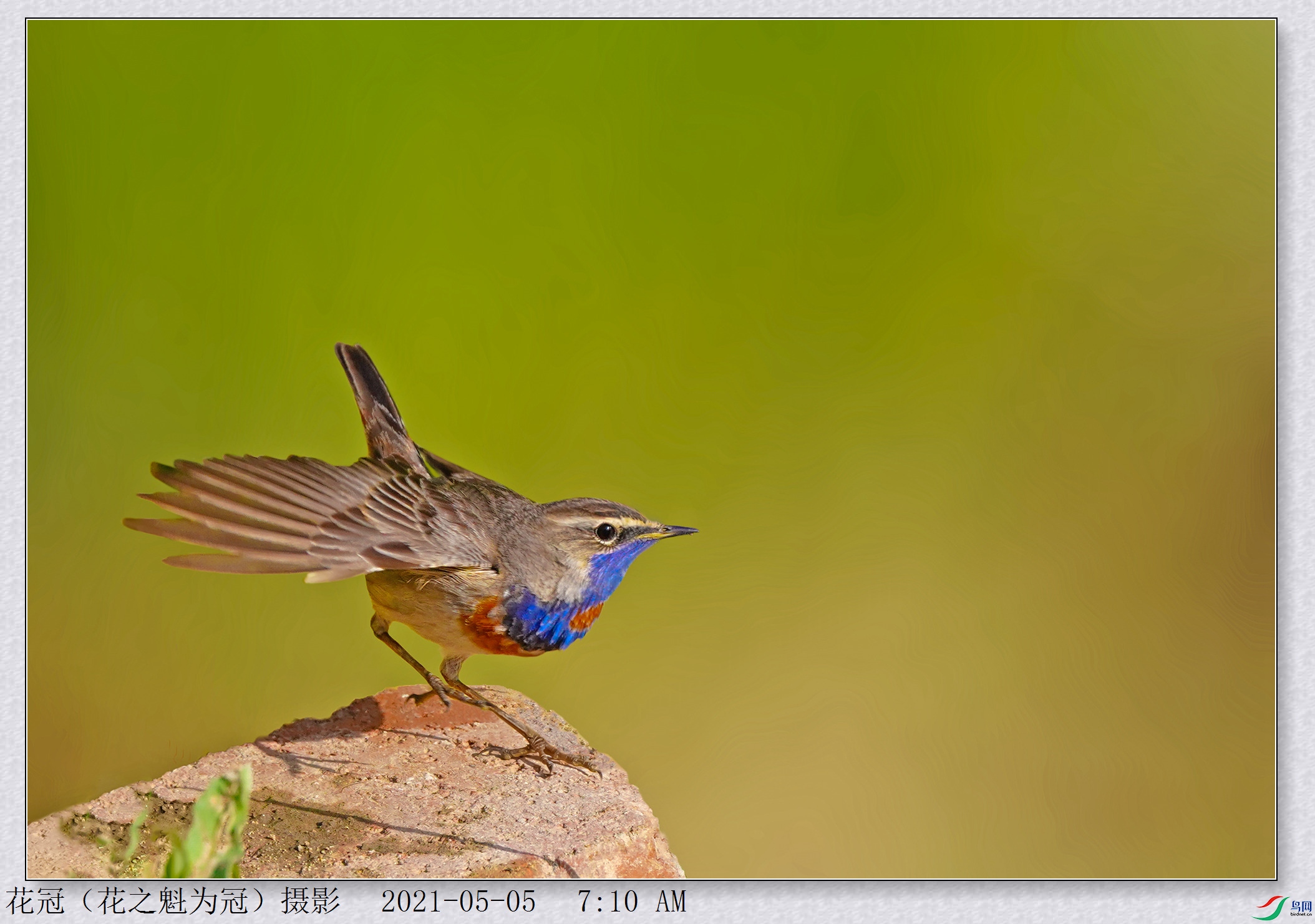 DSC04523B-3_����.jpg