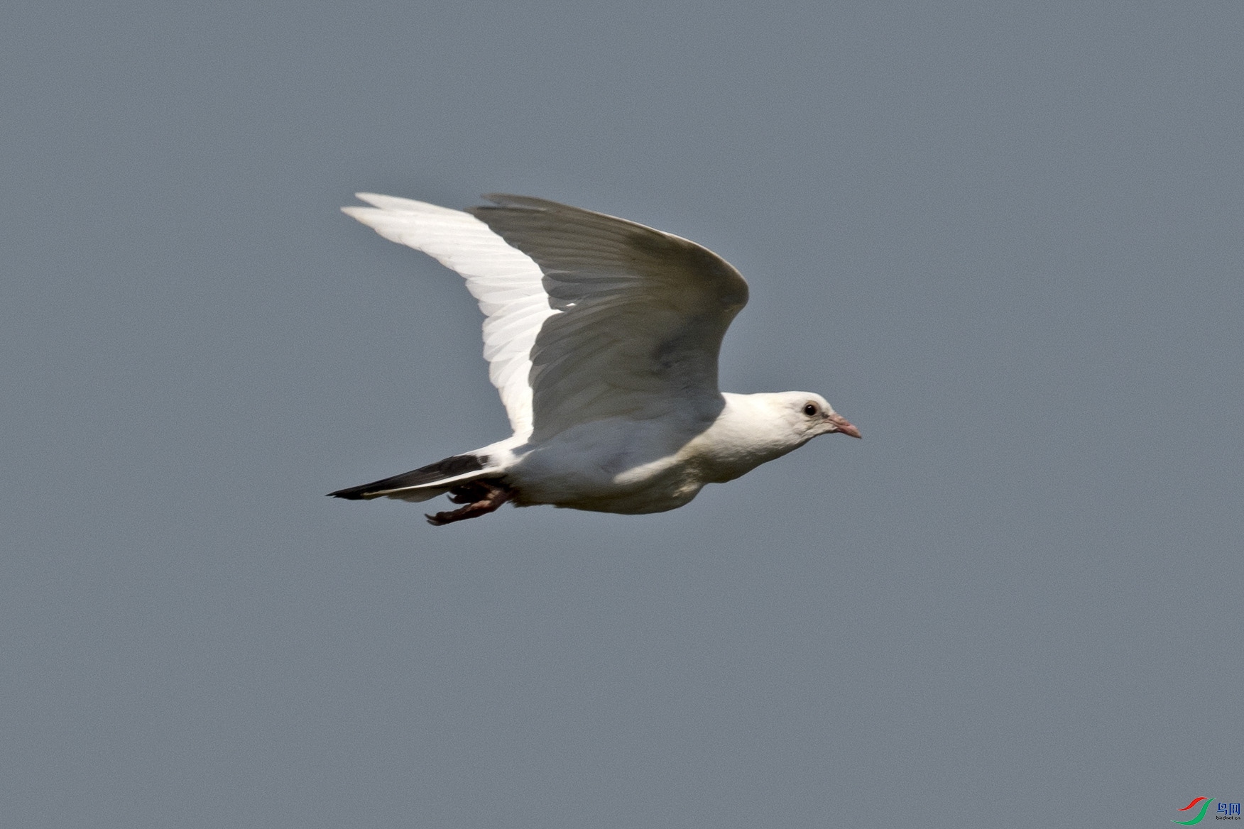 _DSC3204-1.jpg