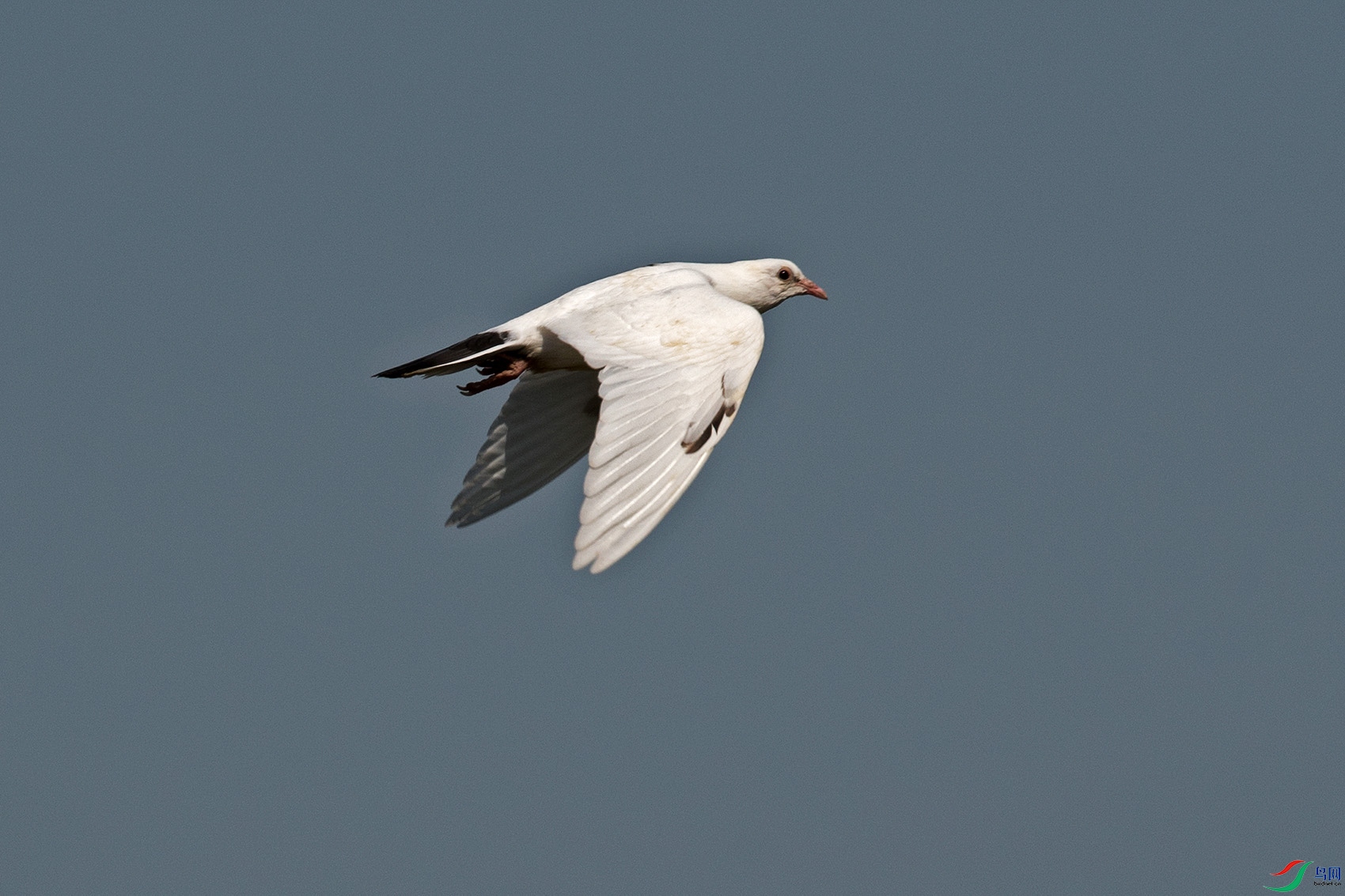 _DSC3205-1.jpg