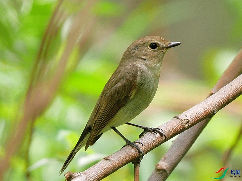 P6600577 - ����.JPG