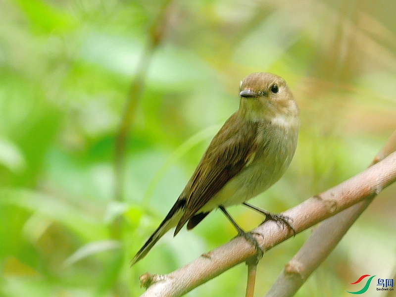 P6600630 - ����.JPG