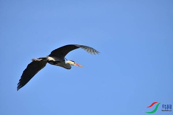 1 (32).JPG