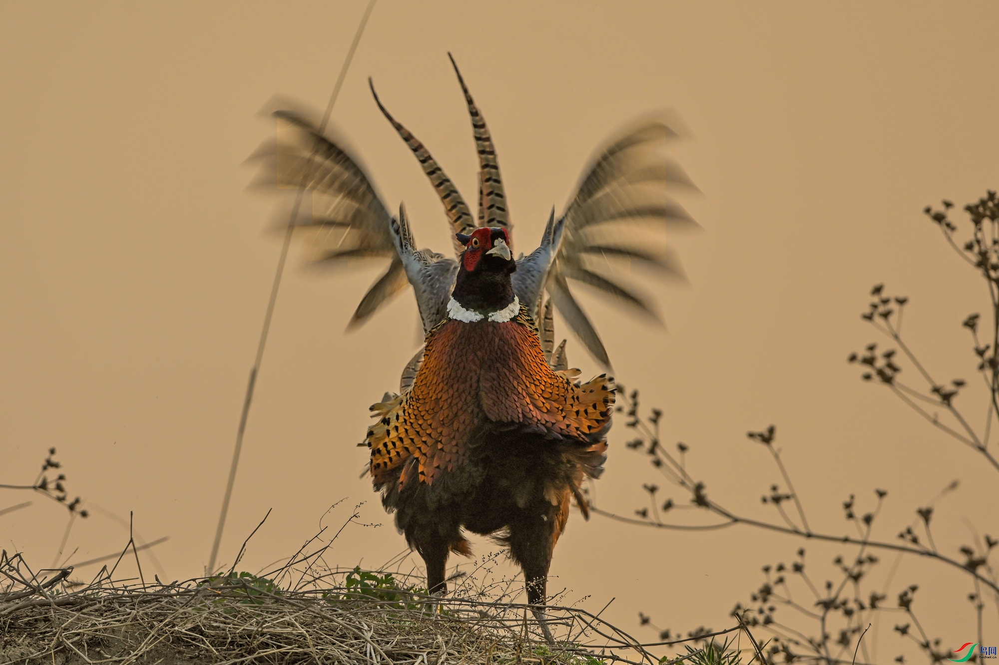 �����ۼ���