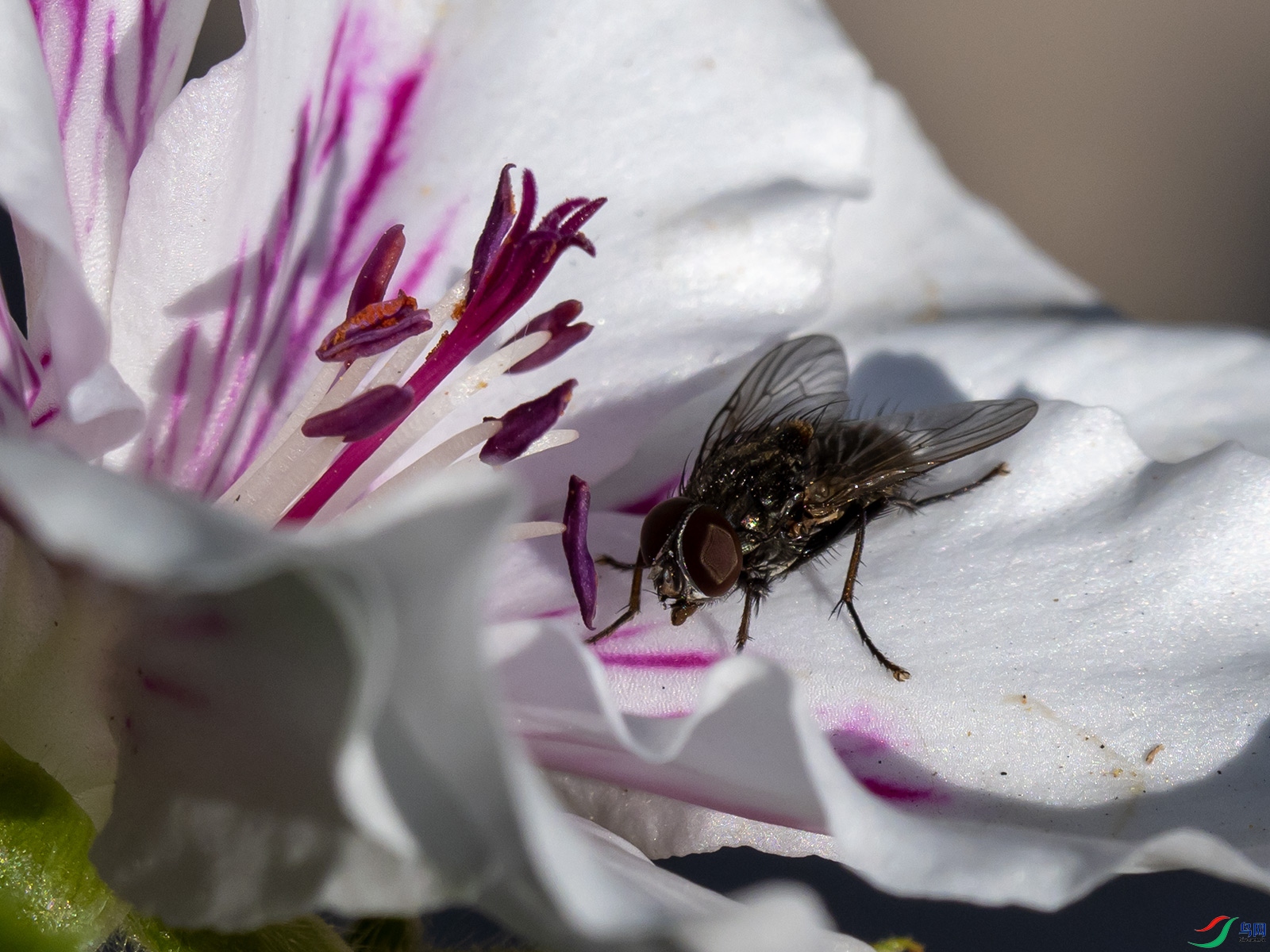 ��Ӭ�������ÿ���