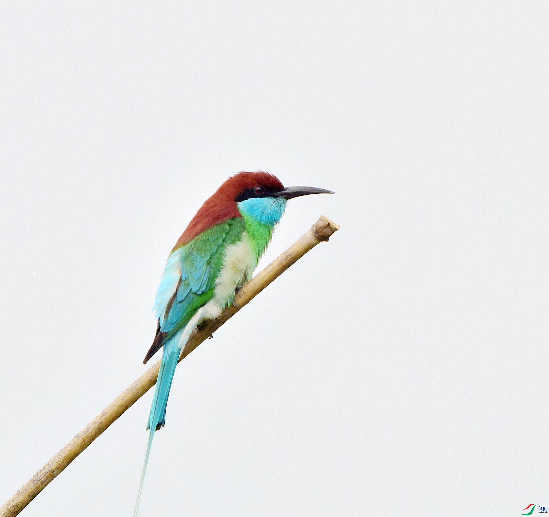 D8I_8558.jpg