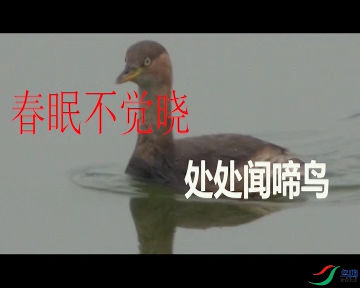 ���߲�����������������.00_00_10_06.��ֹ002.jpg