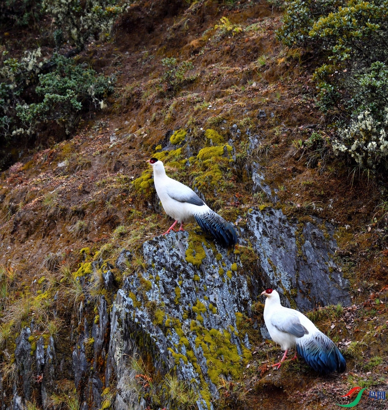 DSC_1541_02.JPG