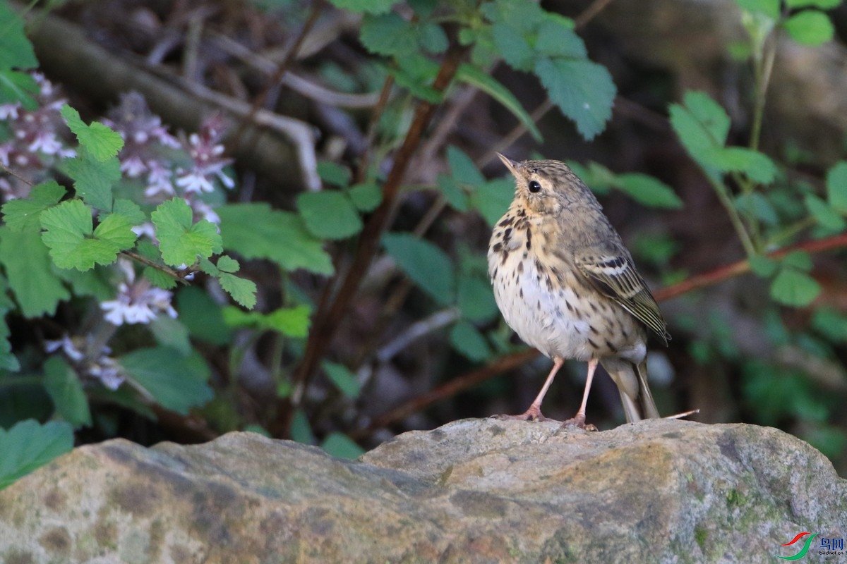 ʲô�w 0F4A7279.jpg