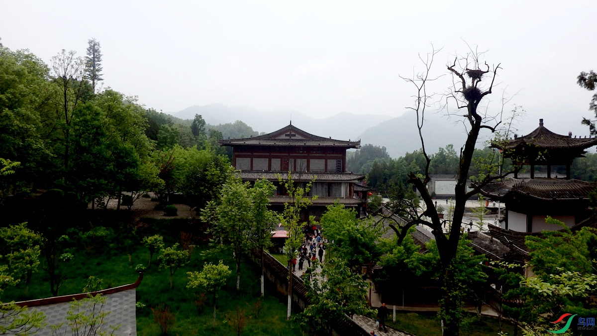 P5030620.jpg
