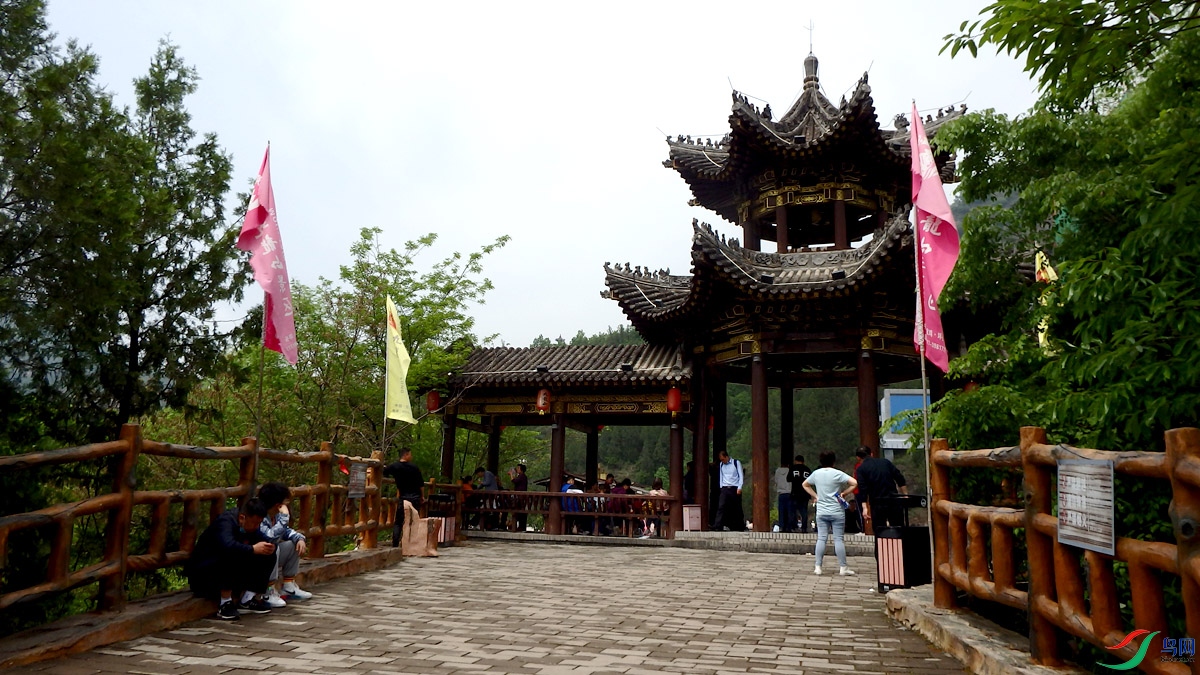 P5030624.jpg
