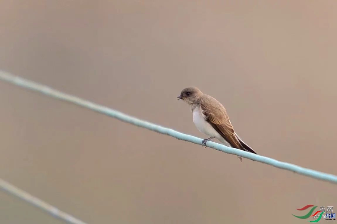 ��ׯһа  ��ʦ������.jpg