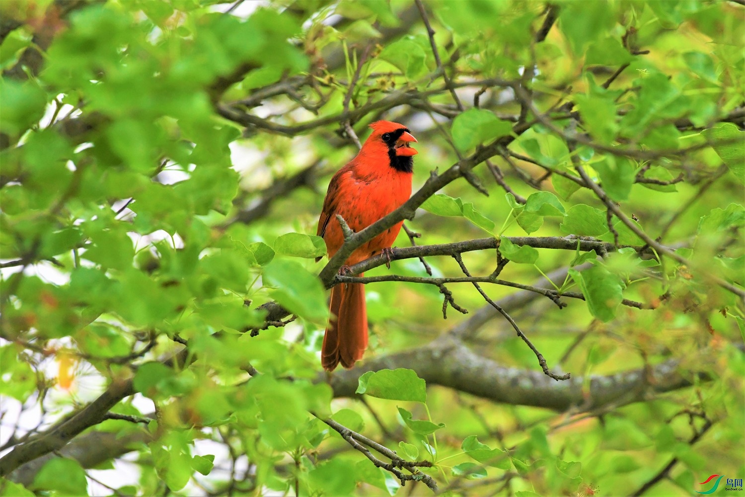 DSC_8005-֦�ϱ�����ȸ-1500-KC.jpg